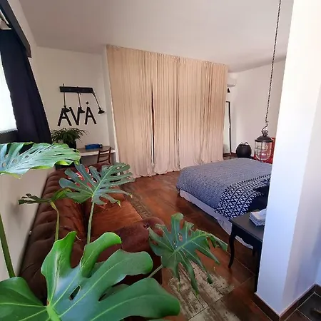 Villa-loft Piscine Chauffe Pinarello Porto-vecchio Zonza